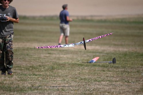 141-ARE_6654