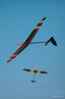 031-IMG_0194