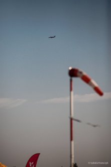 133-IMG_0806