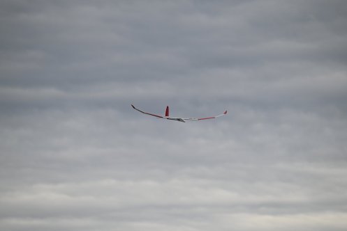 037-ARE_7102