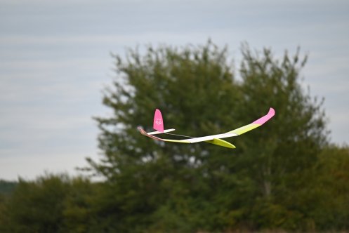 080-ARE_7181