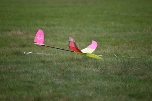 081-ARE_7182