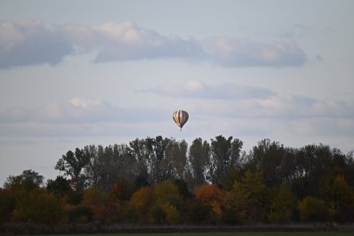 104-ARE_7627