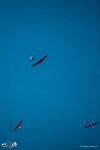 103-IMG_4479