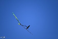 120-ARE_8492