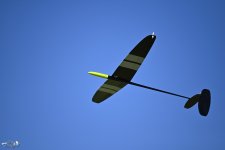 121-ARE_8494