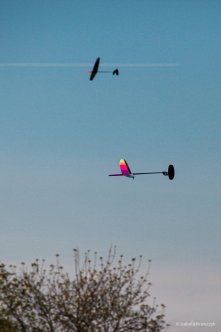 023-IMG_3504