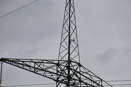 044-ARE_8795