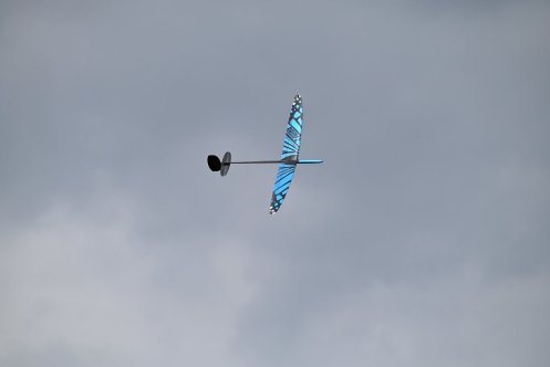 066-ARE_8818