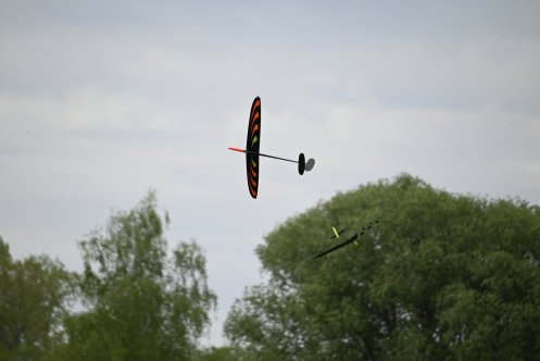 083-ARE_8833