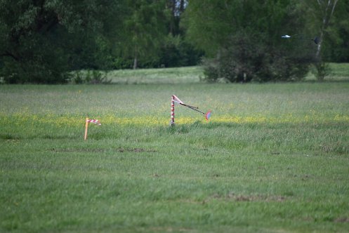 113-ARE_8869