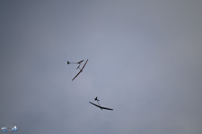 ARE_9071