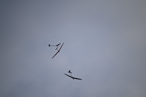 ARE_9071