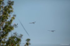 009-IMG_7693