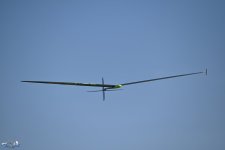 017-ARE_9509