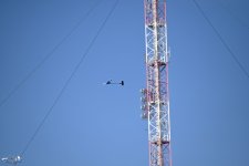 020-ARE_9519
