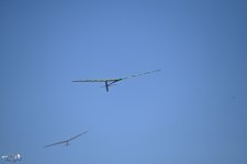 032-ARE_9534