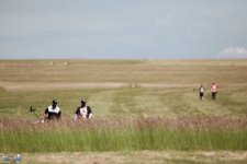 066-IMG_8366