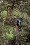 125-IMG_8840