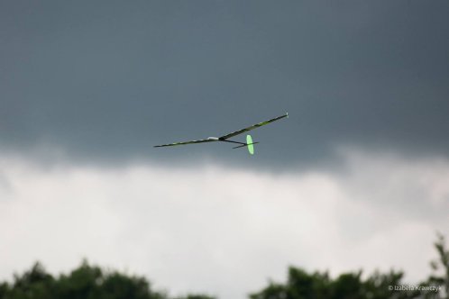 173-IMG_9387