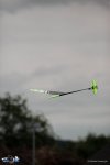 117-IMG_0553
