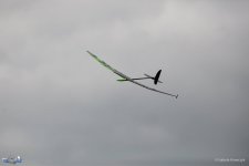 132-IMG_0731