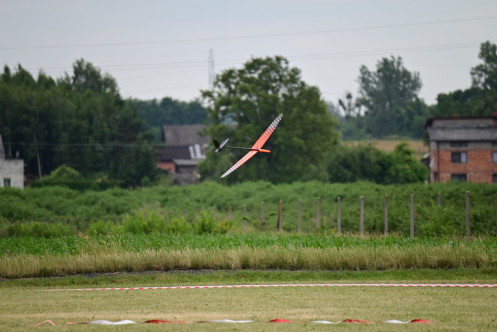 067-ARE_0478
