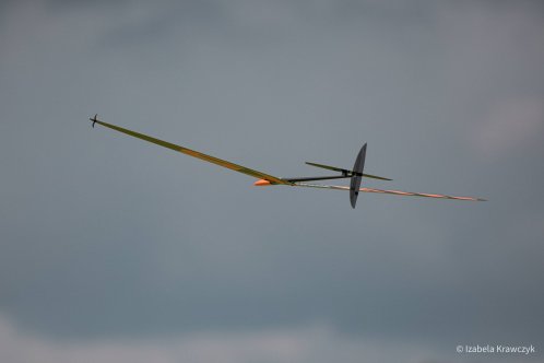 255-IZAK4513