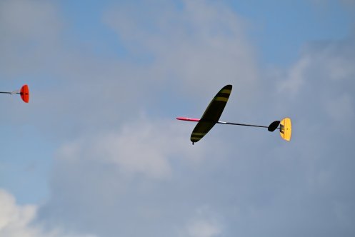 271-ARE_1394