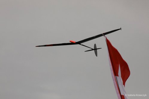 335-IZAK5895
