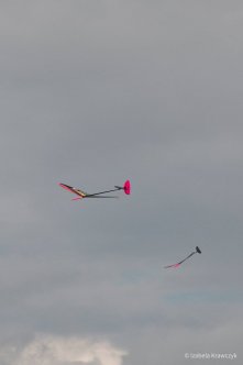 338-IZAK5932