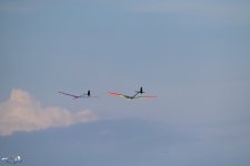 103-ARE_0889