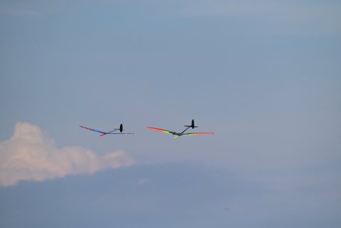 103-ARE_0889