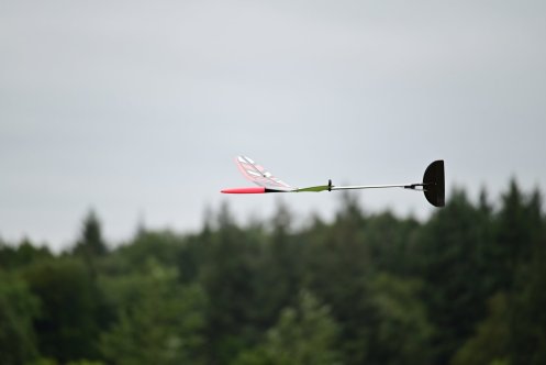 161-ARE_0952