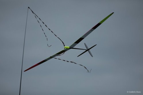 181-IZAK0985