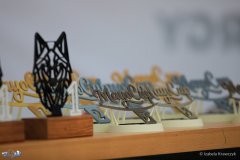 2025.09.06-07 - Zawody - PP F3K Mayo Cup Turbia