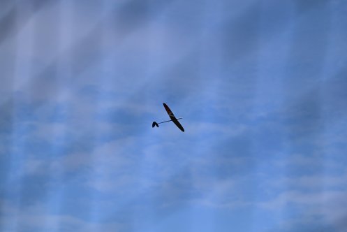 050-ARE_2970