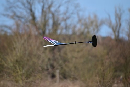 051-ARE_2971