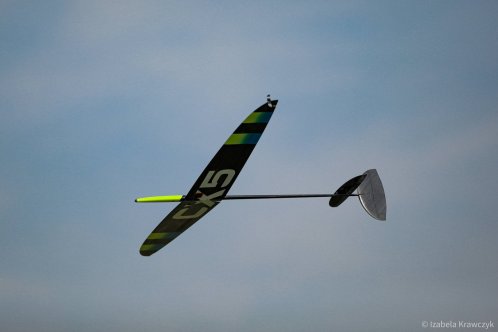 065-IZAK9131