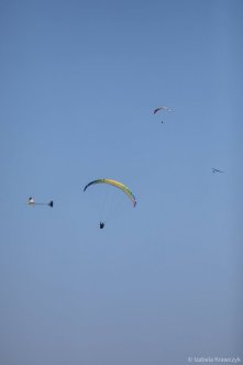 074-IZAK1453