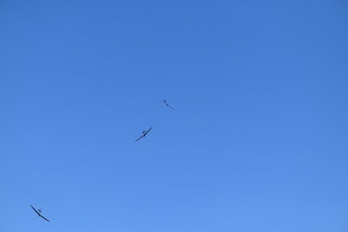 080-ARE_3450