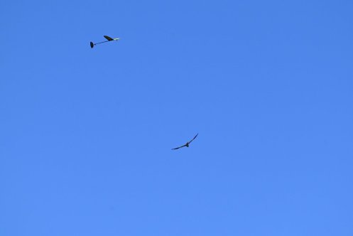 111-ARE_3652_01